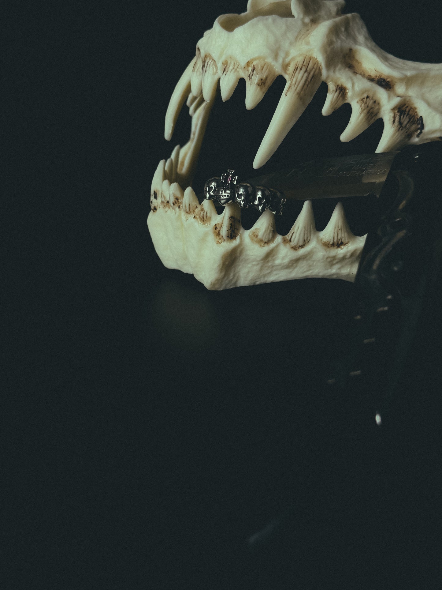 Skulls ring from vivienne westwood ( silver 295 )