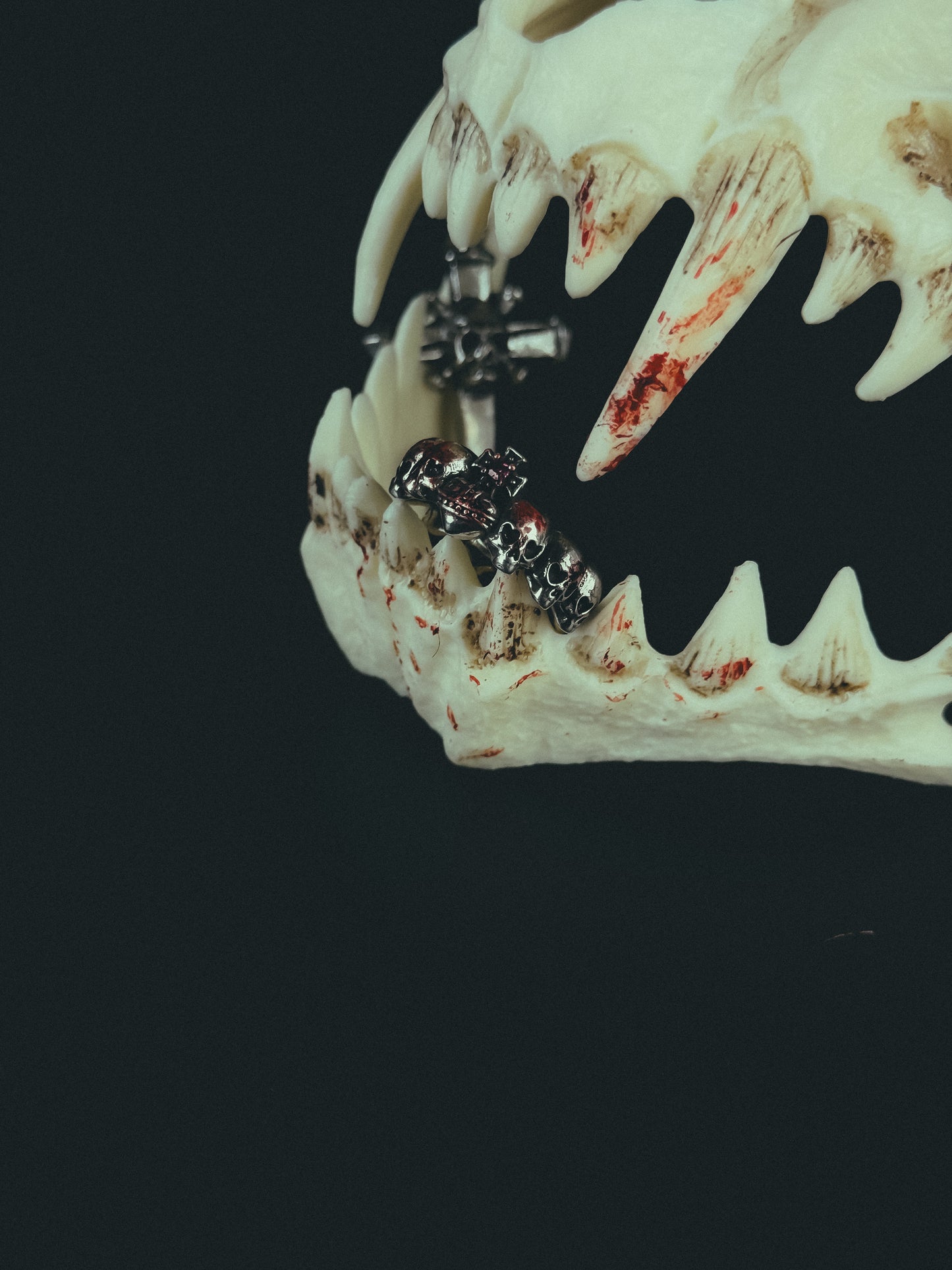 Skulls ring from vivienne westwood ( silver 295 )