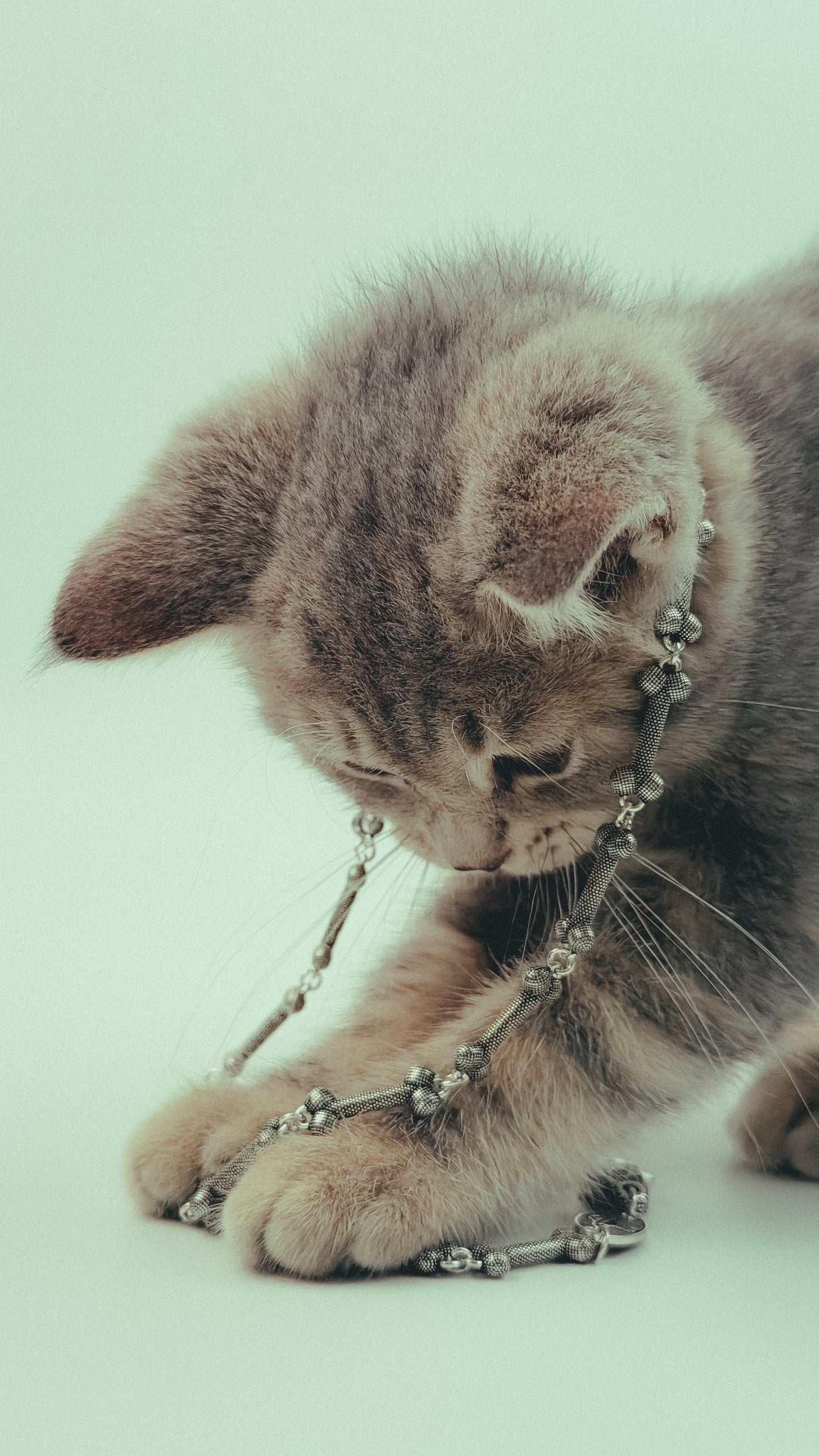 Vivienne Westwood Albane Necklace