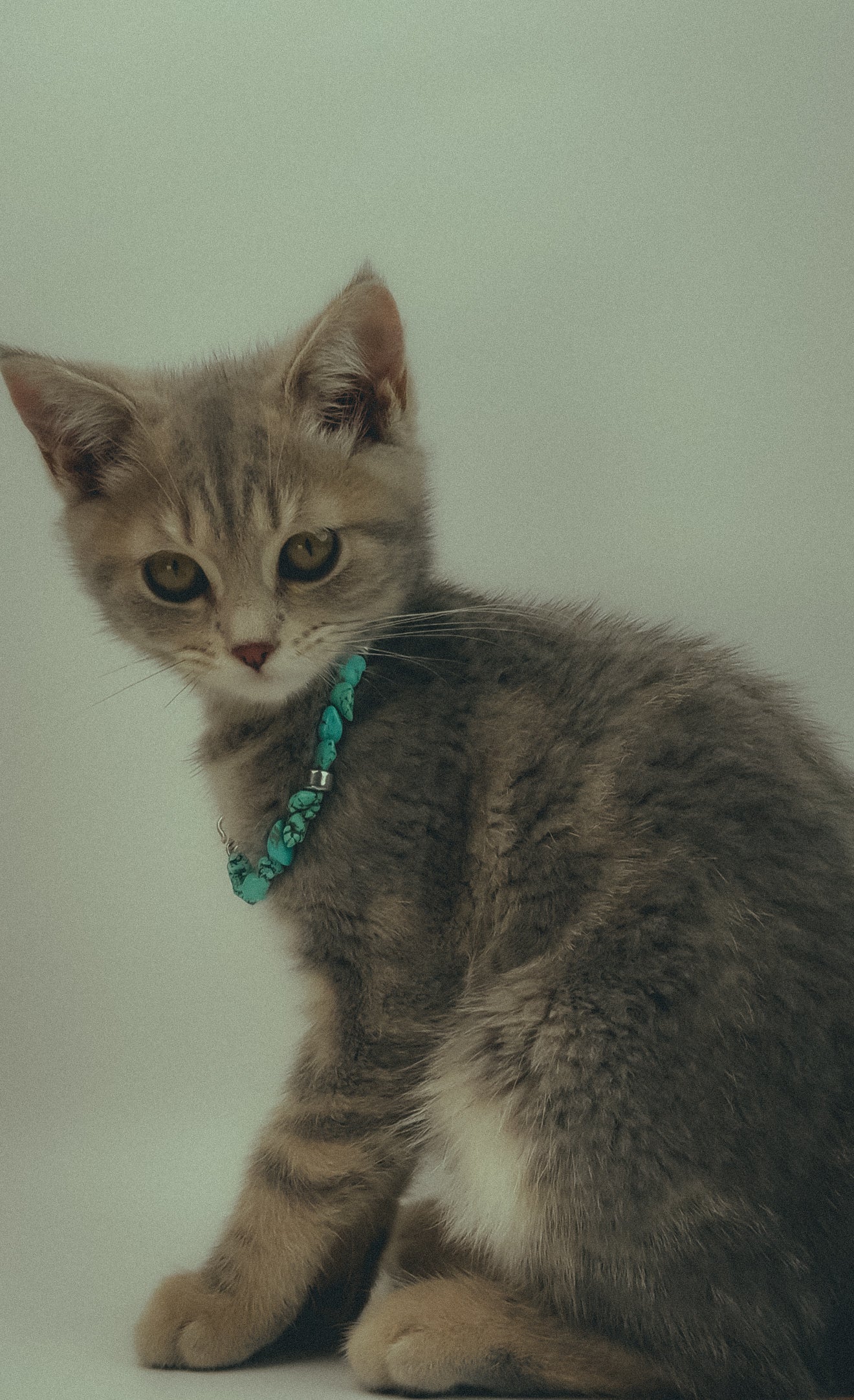 Ralph Lauren Turquoise Stone Bracelet