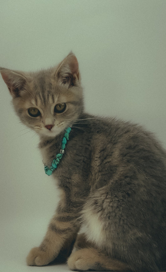 Ralph Lauren Turquoise Stone Bracelet