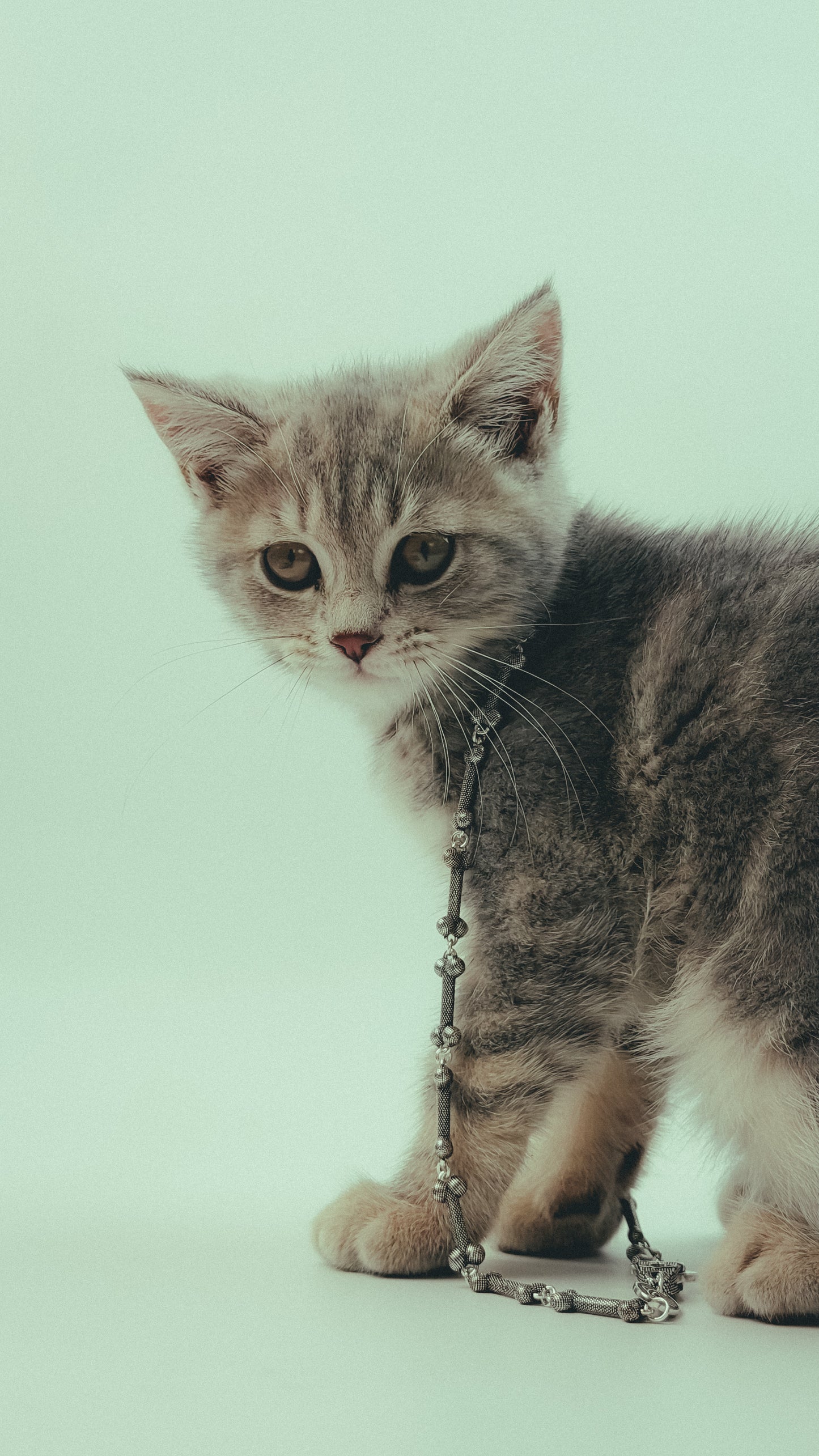 Vivienne Westwood Albane Necklace