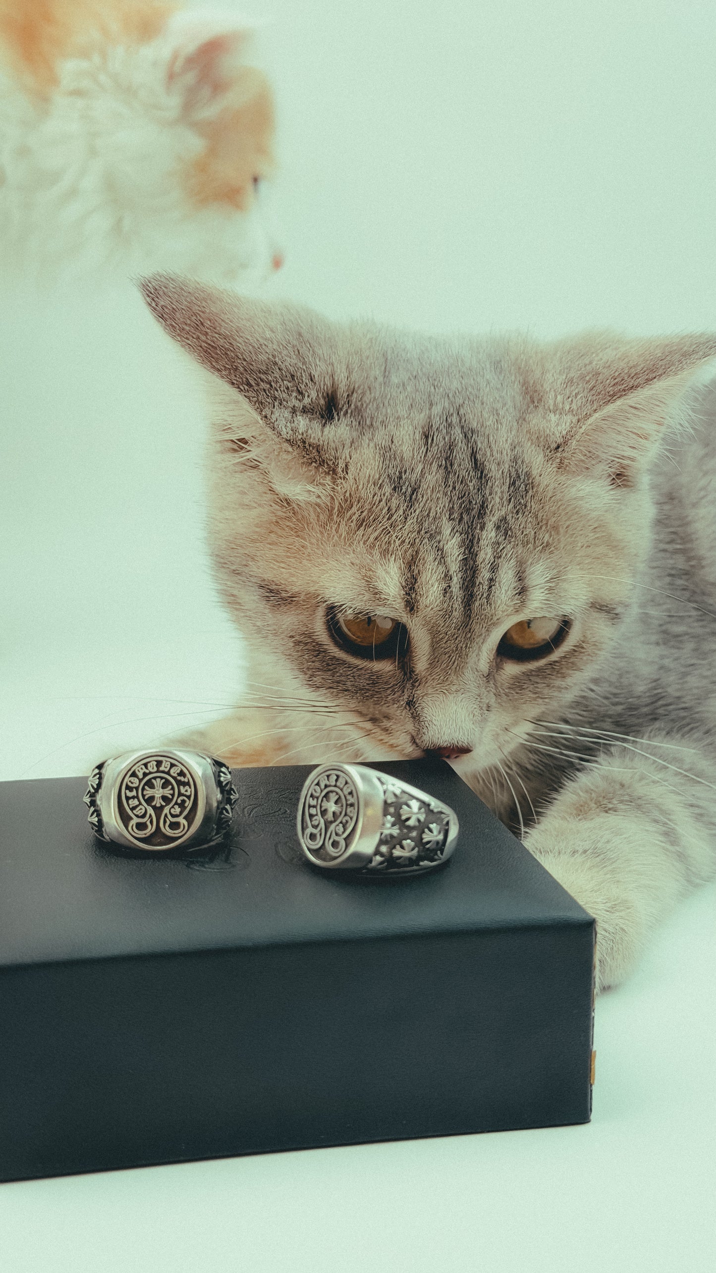 Chrome Hearts Horseshoe Championship Ring